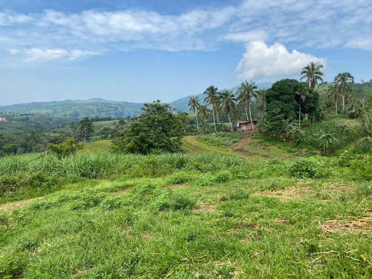 11.2 Hectares Overlooking Agricultural Farm Land in Panalsalan, Maramag, Bukidnon